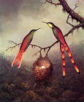 馬丁 約翰遜 赫德 Two Hummingbirds Garding an Egg